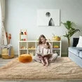 Fluffy, Soft Indoor Rug