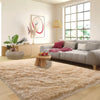 Fluffy, Soft Indoor Rug