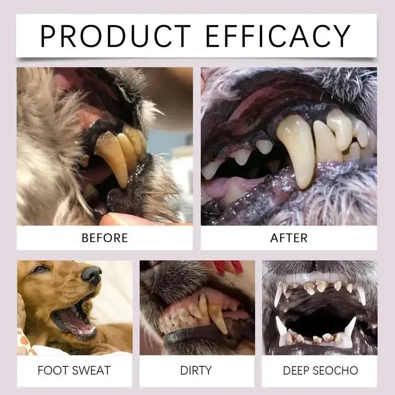Pet Dental Pen For Dog 