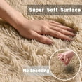 Fluffy, Soft Indoor Rug