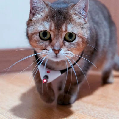 Wearable Cat Toys with LED Lights Pet Smart Cat Laser Collar Cat Toys Electric Smart Amusing Collar for Kitten Interactive Cat