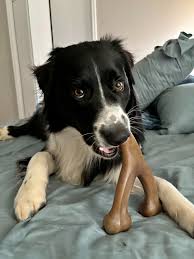 Durable Dog Chew Toy