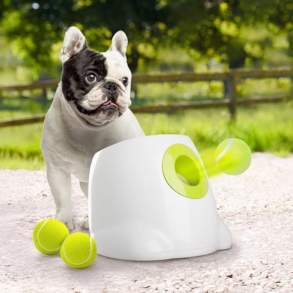 Automatic Tennis Ball Launcher For Dogs